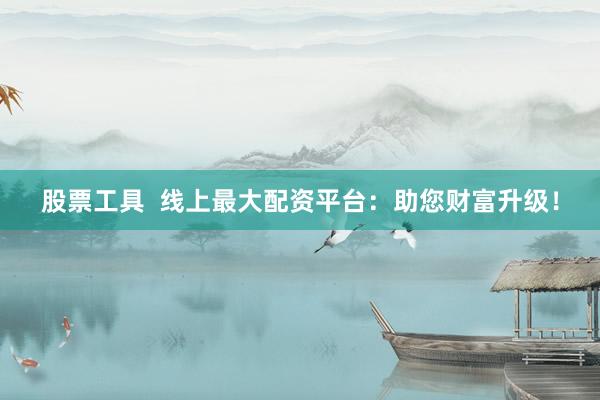 股票工具  线上最大配资平台：助您财富升级！