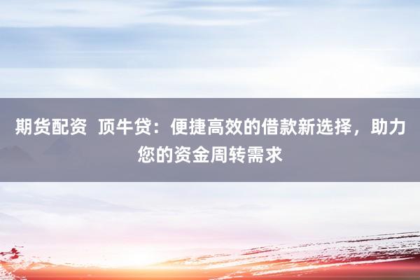 期货配资  顶牛贷：便捷高效的借款新选择，助力您的资金周转需求