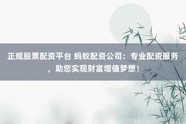 正规股票配资平台 蚂蚁配资公司：专业配资服务，助您实现财富增值梦想！