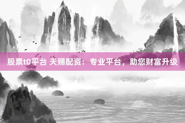 股票t0平台 天赐配资：专业平台，助您财富升级