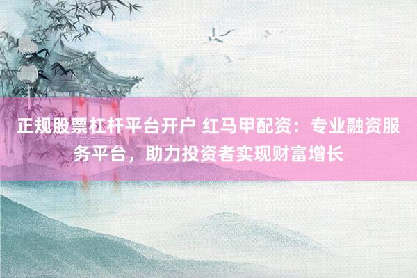 正规股票杠杆平台开户 红马甲配资：专业融资服务平台，助力投资者实现财富增长