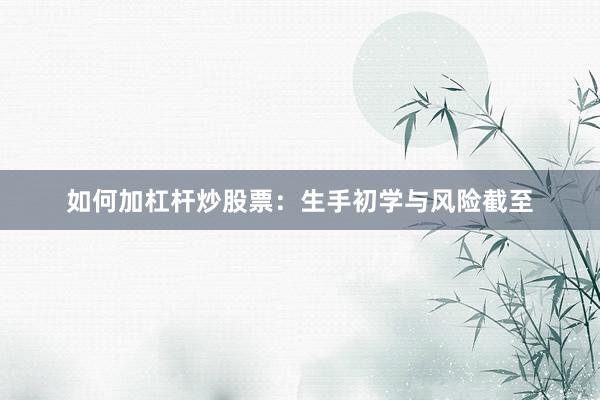 如何加杠杆炒股票：生手初学与风险截至