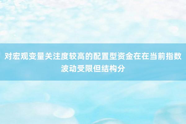 对宏观变量关注度较高的配置型资金在在当前指数波动受限但结构分