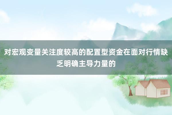 对宏观变量关注度较高的配置型资金在面对行情缺乏明确主导力量的