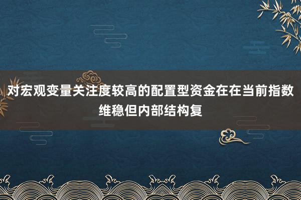 对宏观变量关注度较高的配置型资金在在当前指数维稳但内部结构复