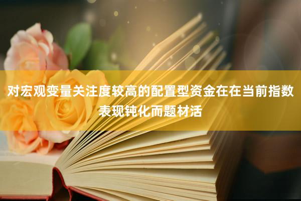 对宏观变量关注度较高的配置型资金在在当前指数表现钝化而题材活