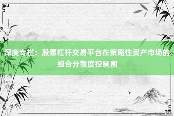 深度专栏：股票杠杆交易平台在策略性资产市场的组合分散度控制围